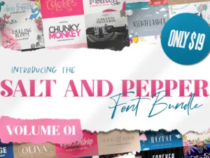 the salt pepper font bundle vol 1