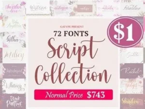 the script collection bundle 55 premium fonts 1