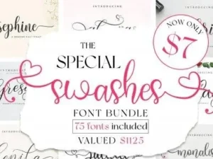 the special swashes font bundle