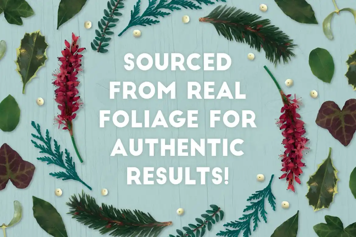 The Vector Florist-Brushes Winter 7 the vector florist brushes winter 4