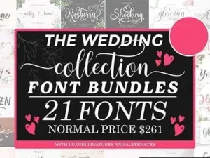 the wedding collection font bundles