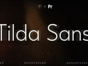 tilda sans by aleksandra korolkova dmitriy golub nick nedashkovskiy