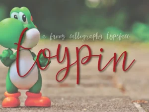 toypin