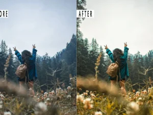 traveller presets mobile desktop