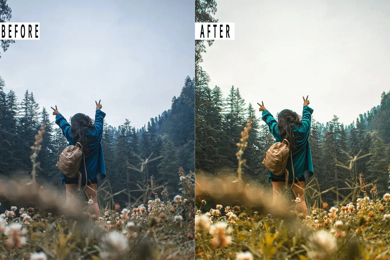 Traveller Presets Mobile & Desktop