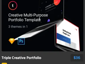 triple creative portfolio