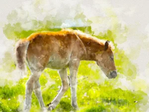 true watercolor photoshop action