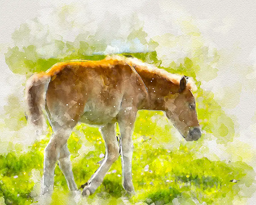 True Watercolor Photoshop Action