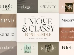 unique and classy modern font bundle