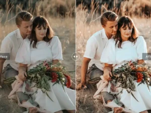 vermilion mobile desktop lightroom presets 4