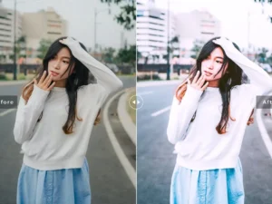 vervain mobile desktop lightroom presets 3