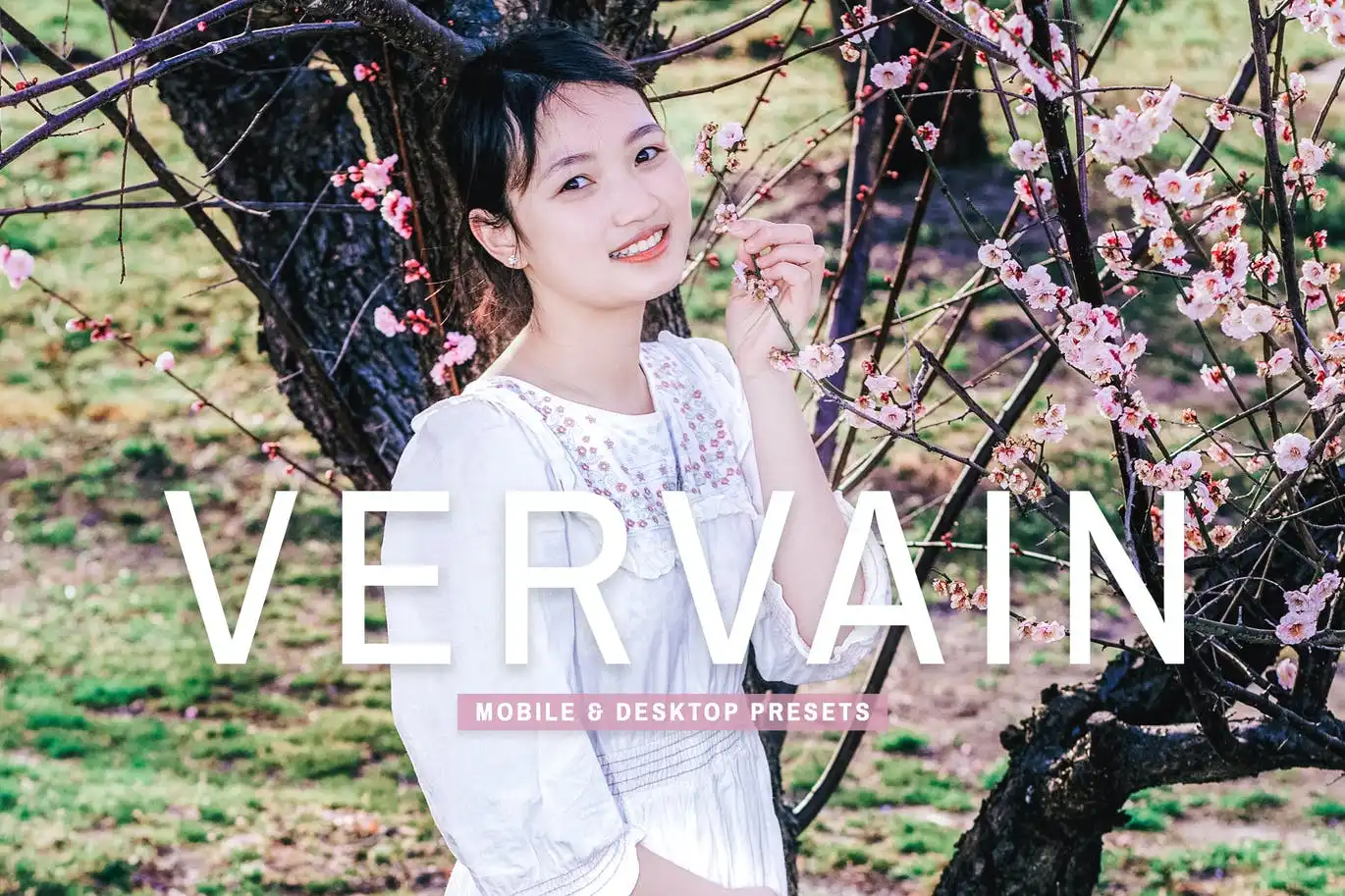 Vervain Mobile & Desktop Lightroom Presets 7 vervain mobile desktop lightroom presets