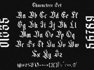 viaction typeco datons 3