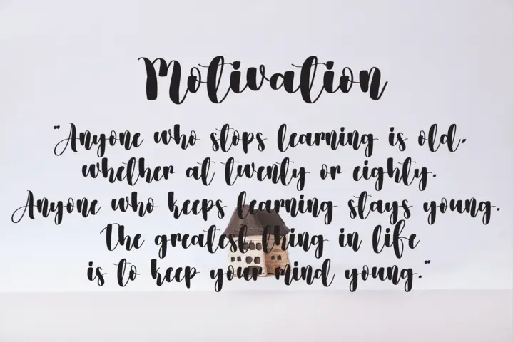 Videography Script Font