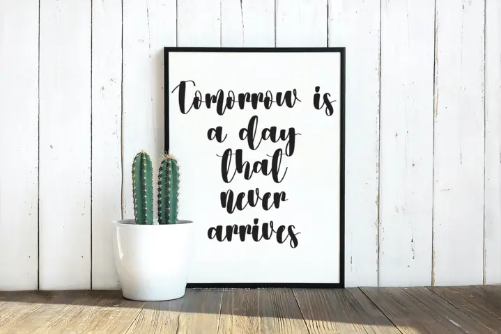 Videography Script Font 6 videography script font 3