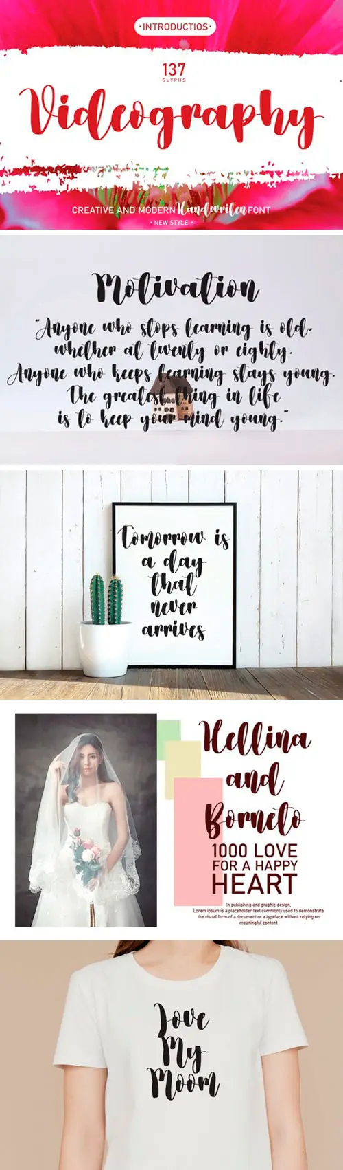 Videography Script Font 7 videography script font 6