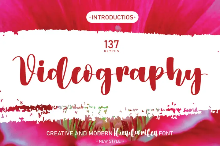 Videography Script Font 5 videography script font
