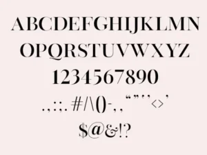 vienna serif font 3
