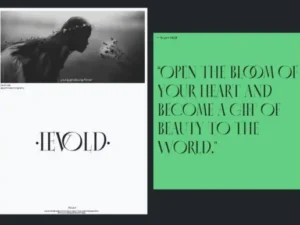 virzo font 2