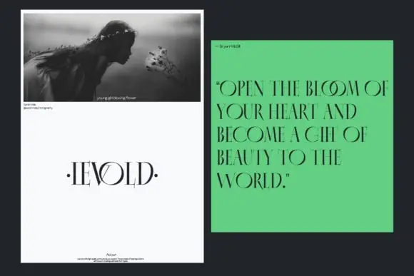 Virzo Font