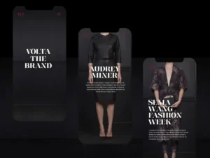 voire elegant serif family by creativemedialab 4