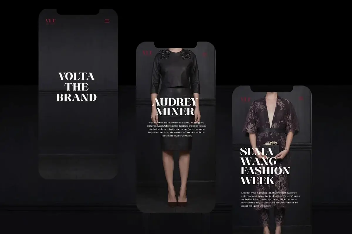 Voire-Elegant Serif Family By Creativemedialab