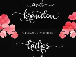 vtksposter font 4