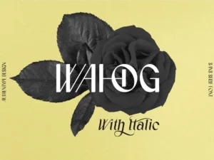 wahog sans serif with nice italic