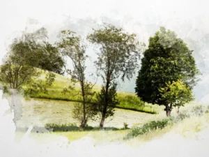 watercolor dry brush effects 2