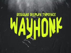 wayhonk regular display typeface