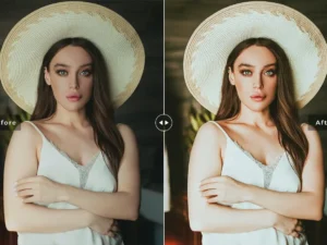 wenge mobile desktop lightroom presets 5