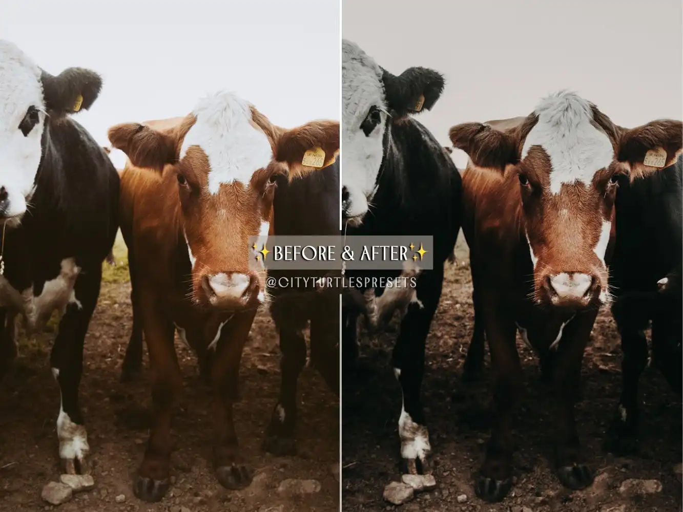 Wild West Moody Boho Lightroom Presets 9 wild west moody boho lightroom presets