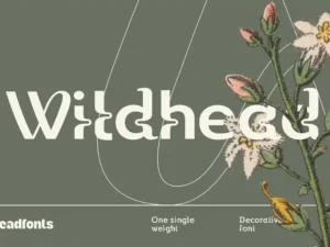 wildhead display font