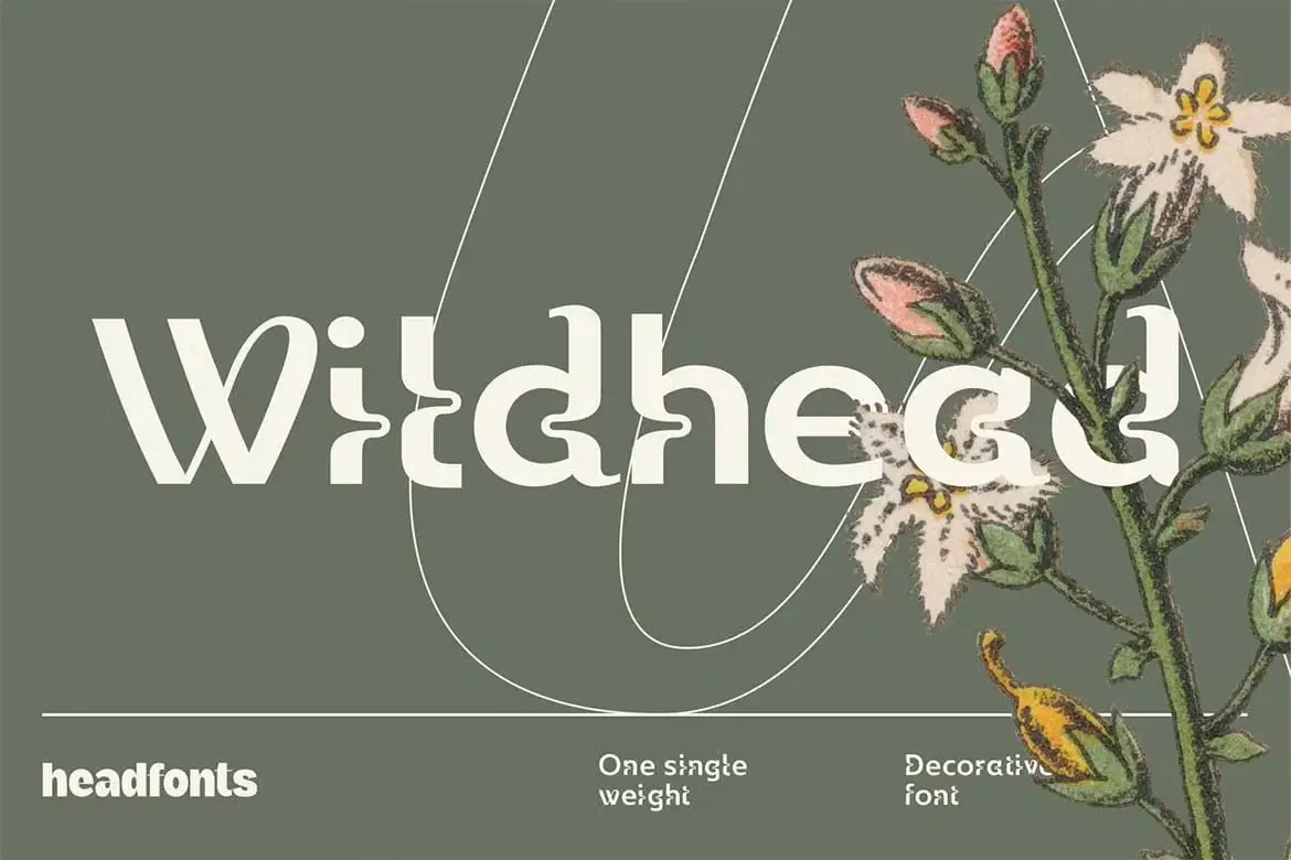 Wildhead Display Font