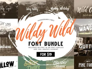 wildy wild font bundle