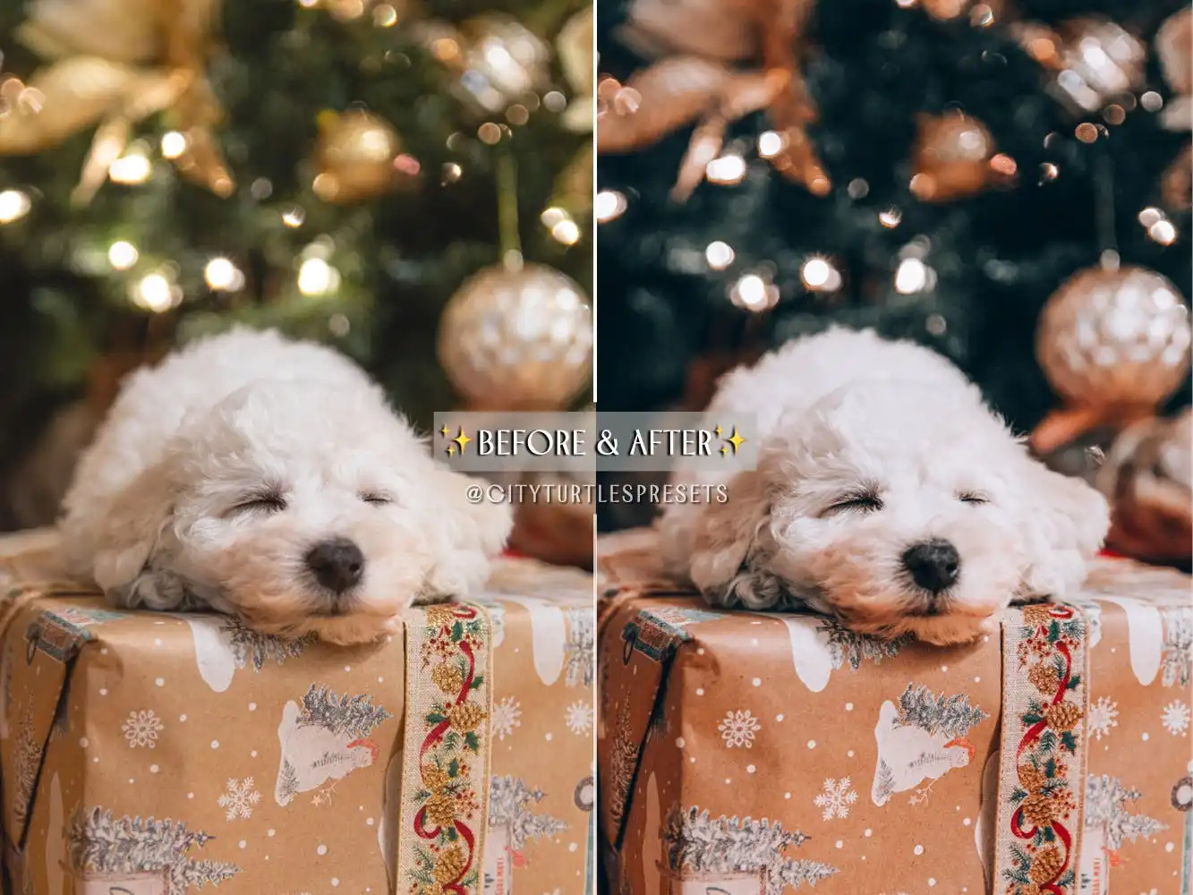 Winter Mood Holiday Lightroom Presets 5 winter mood holiday lightroom presets 2
