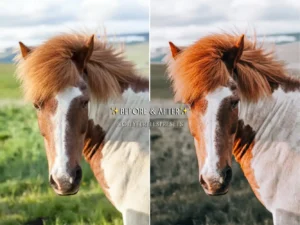 winter mood holiday lightroom presets 6