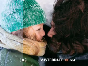 winterdale lightroom presets 5