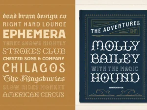 wt kingsbury font bundle