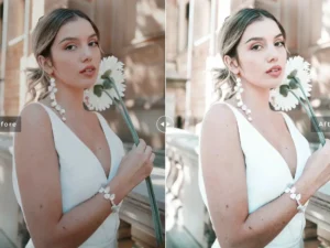 zenobia mobile desktop lightroom presets 4