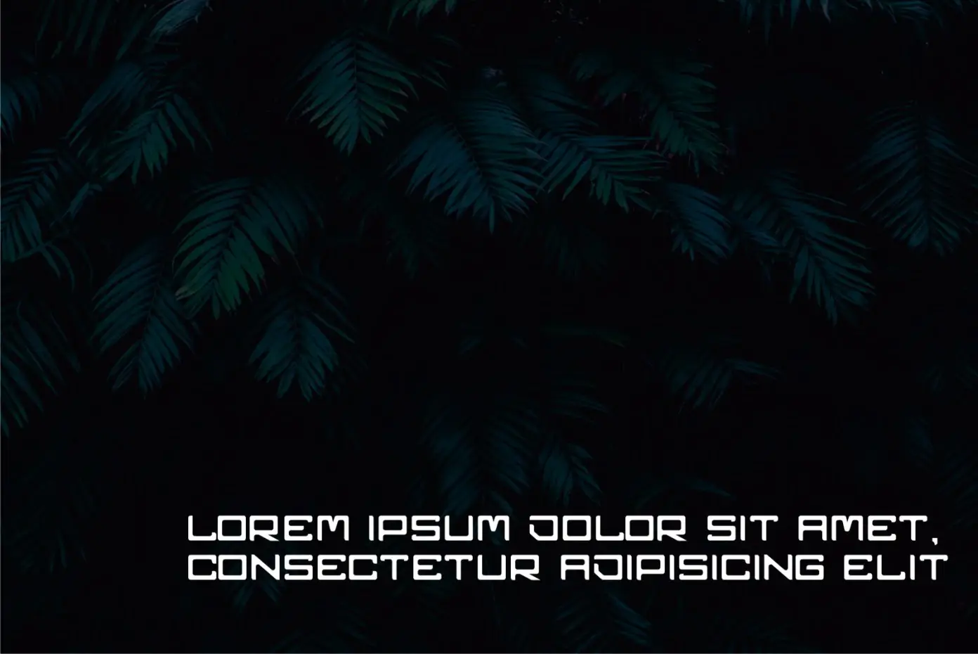Zeora Display Font 6 zeora display font 2