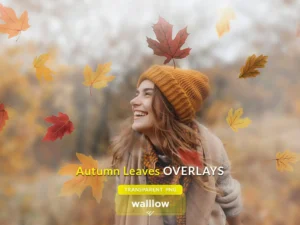 autumn leaves photo overlays fall leaf overlay1