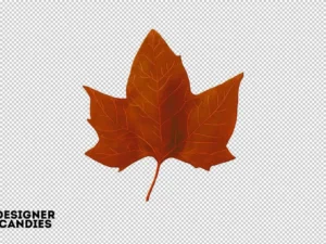 autumn leaves11