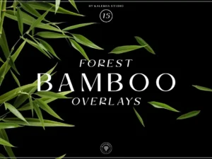 bamboo forest overlays1
