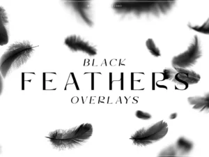 black feathers overlays1