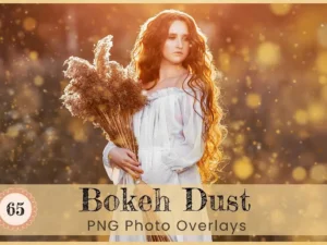 bokeh dust photoshop overlays png01