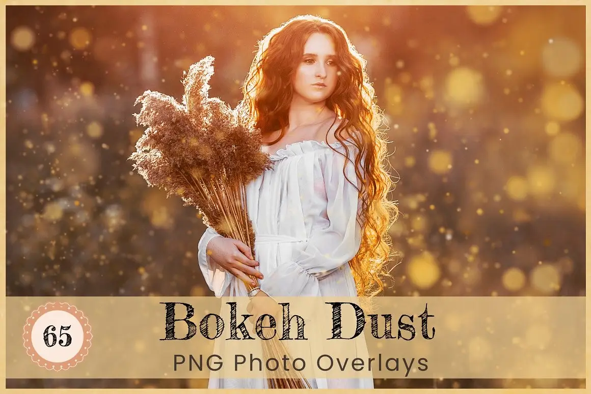 Bokeh dust transparent png overlays, falling dust