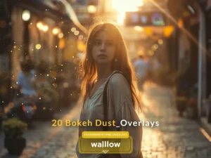 bokeh dust transparent png overlays falling dust1