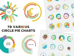 business circle pie charts1