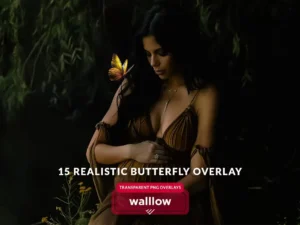 butterfly png and moth png transparent overlays1